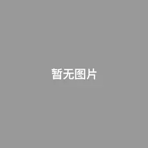 太阳之子 2008